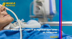 9 CASOS POR COVID-19 SE REGISTRAN ESTE LUNES EN AMAZONAS