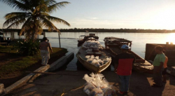 Mercal contabilizó en junio 127 mil familias favorecidas en Amazonas