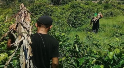 CORTADORES DE LEÑA ESTÁN ACABANDO CON EL MORICHAL DEL SECTOR FRANCISCO ZAMBRANO