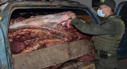 Policía colombiana incauta tres toneladas de carne provenientes de Venezuela