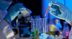 RAZONES POR LAS QUE EL MUNDO NO SERÁ EL MISMO TRAS SUPERAR EL COVID-19