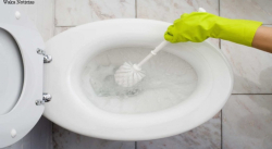 ¿OLOR A ORINA EN TU BAÑO? ELIMÍNALO CON ESTE FÁCIL TRUCO CASERO