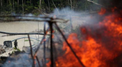 Destruyen minas ilegales en el Amazonas Brasileño 