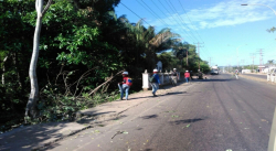 JORNADA DE DESMALEZAMIENTO Y PODA DE ÁRBOLES REALIZÓ CORPOELEC ESTE DOMINGO