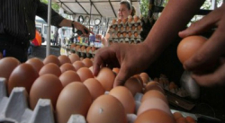 CARTÓN DE HUEVOS EN PUERTO AYACUCHO ALCANZA LOS 25 MIL BS. EN EFECTIVO
