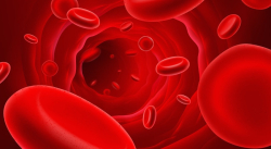 LO QUE DEBES HACER SI SUFRES DE ANEMIA