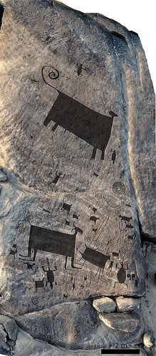 petrogrifo2